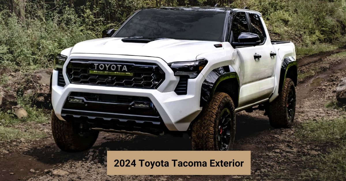 2024 Toyota Exterior [Latest]